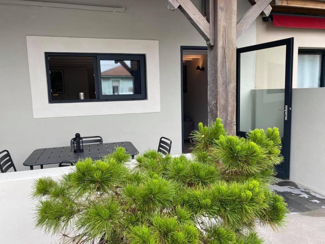 Appartement Du Centre La Teste-de-Buch Bagian luar foto